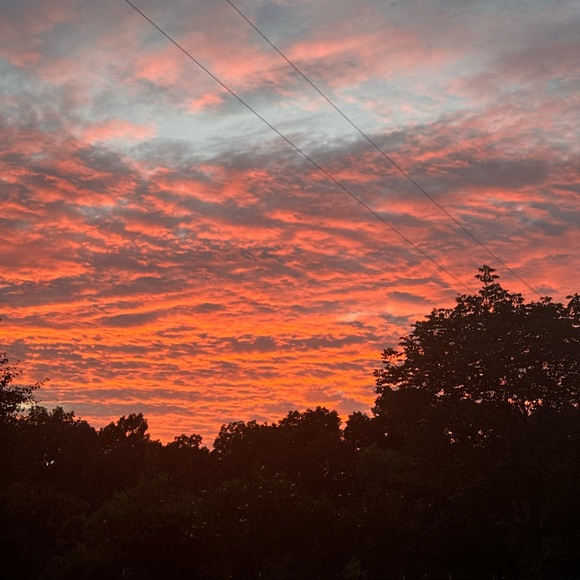 Meet your Posher, Renea! - Picture 12 of 15